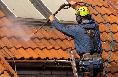 Démoussage et hydrofuge de toiture au Doulieu